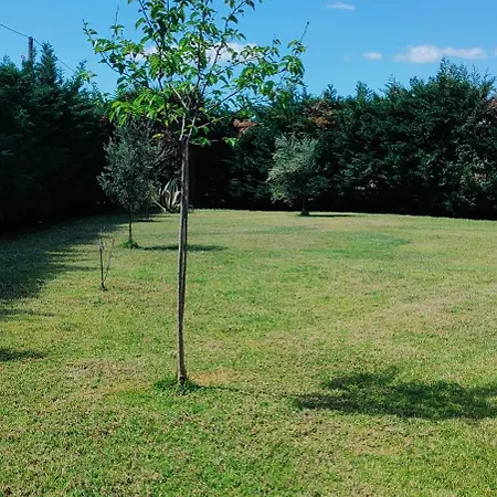 Cosy Garden Messíni