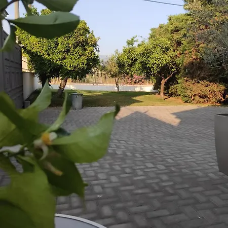 Cosy Garden *