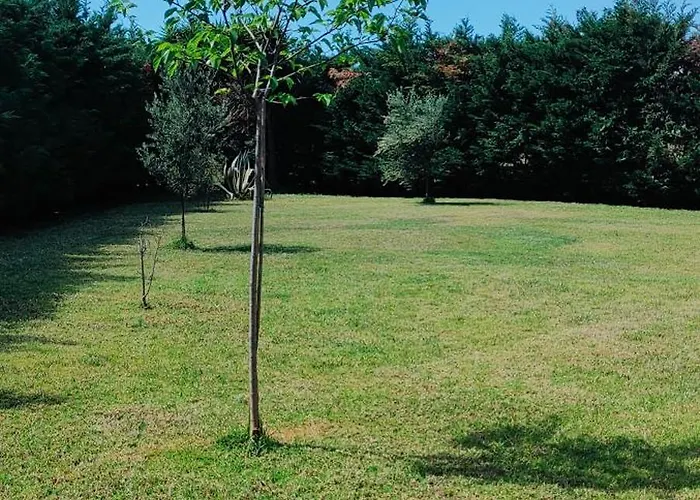 Cosy Garden Messíni